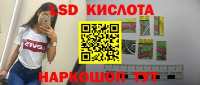 хмурый Сланцы