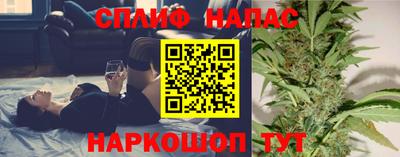 хмурый Сланцы