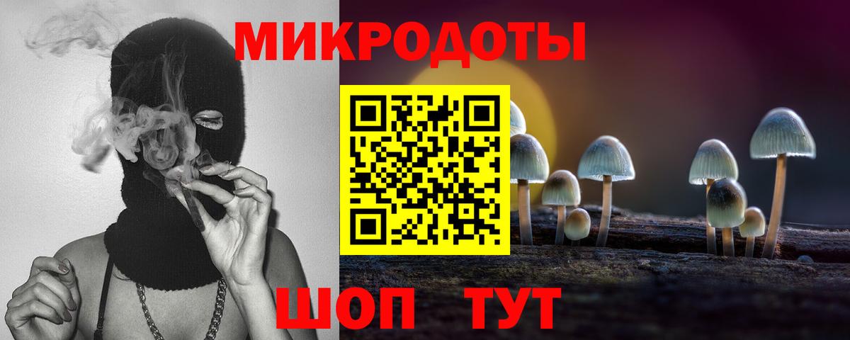 Псилоцибиновые грибы Psilocybe  где продают наркотики  Вход с VPN  Новотроицк  Псилоцибиновые грибы мицелий 